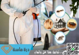 شركة مكافحة صراصير بخميس مشيط | 0593428144 | إبادة الصراصير بالضمان