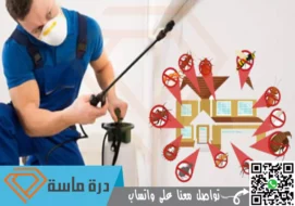 شركة مكافحة حشرات بسراة عبيدة | 0593428144 | ابادة حشرات بخصم 30%