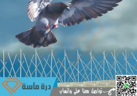 شركة مكافحة حمام بأبها | 0593428144 | طارد حمام